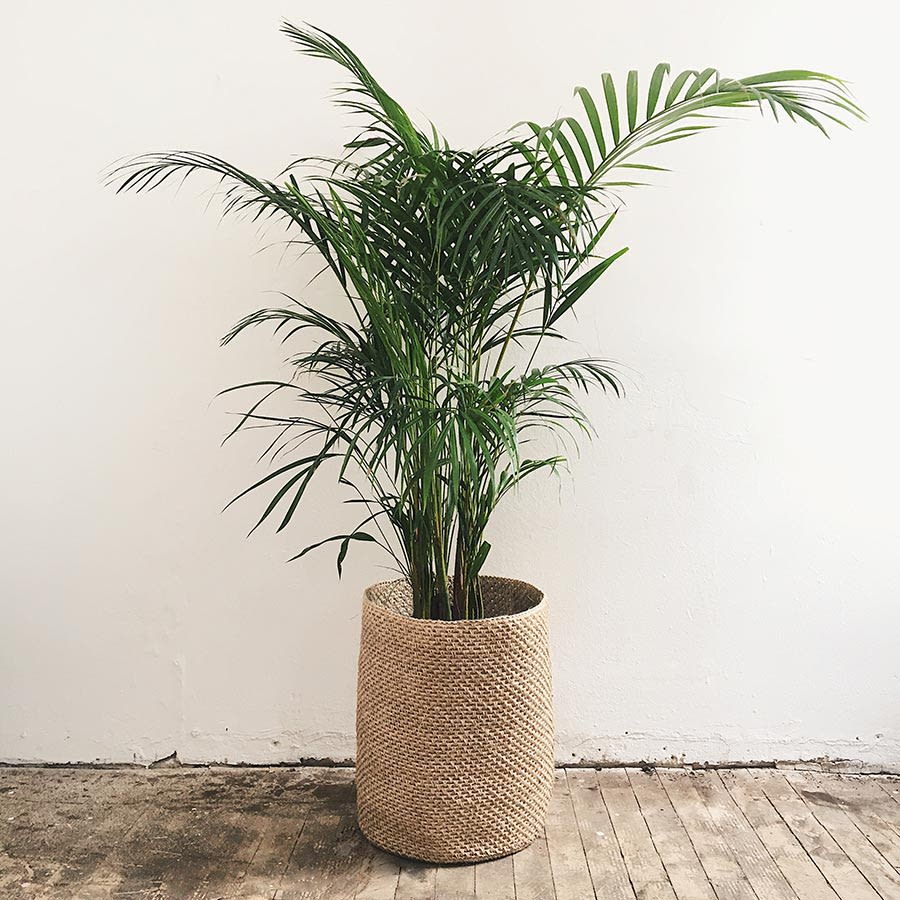 Canasto de Fique Grande